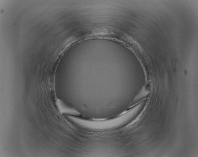 X0000067861353200604271700