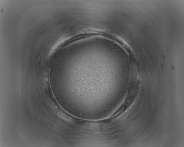 X0000067861355200604271700