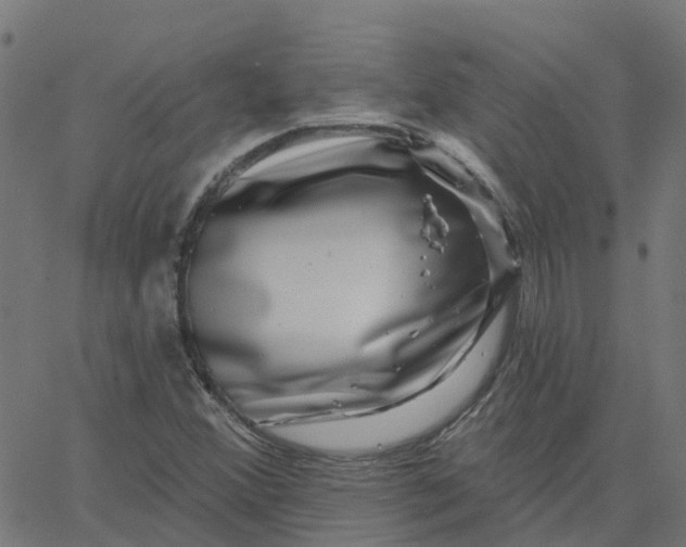 X0000067861356200604271700