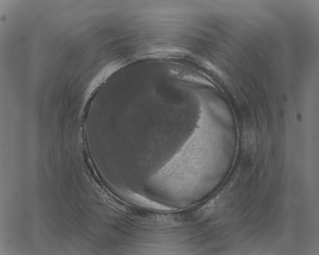 X0000067861362200604271700