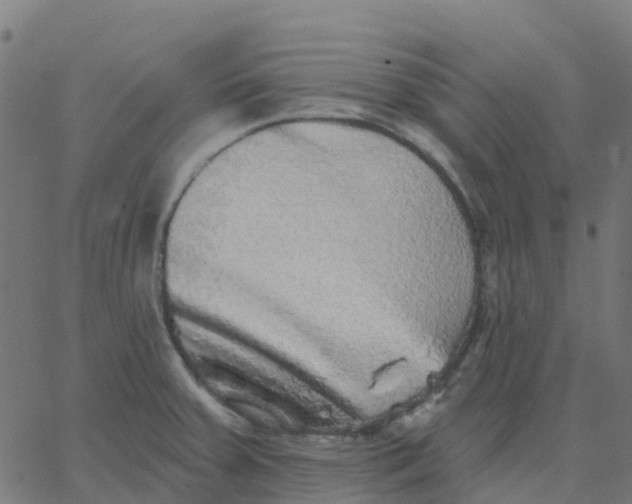 X0000067861379200604271659