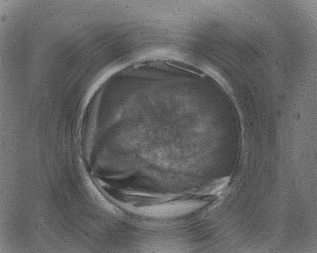 X0000067861392200604271659