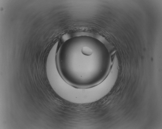 X0000067861394200604271658