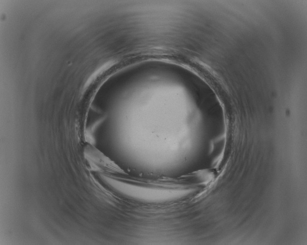 X0000067861402200604271658