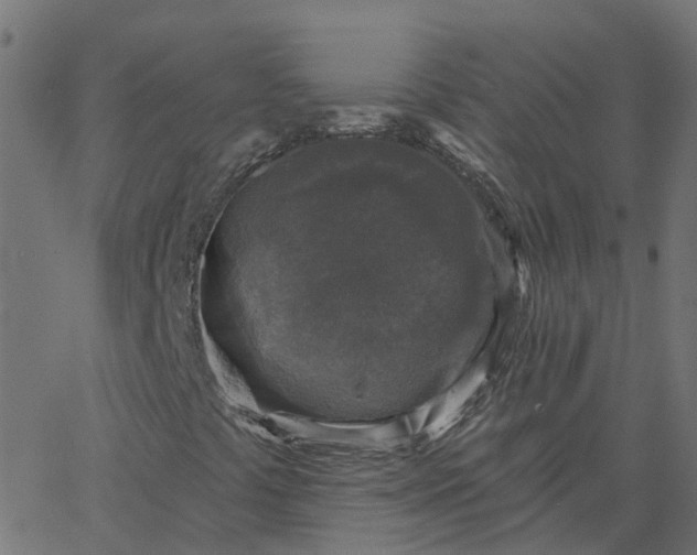X0000067861441200604271658