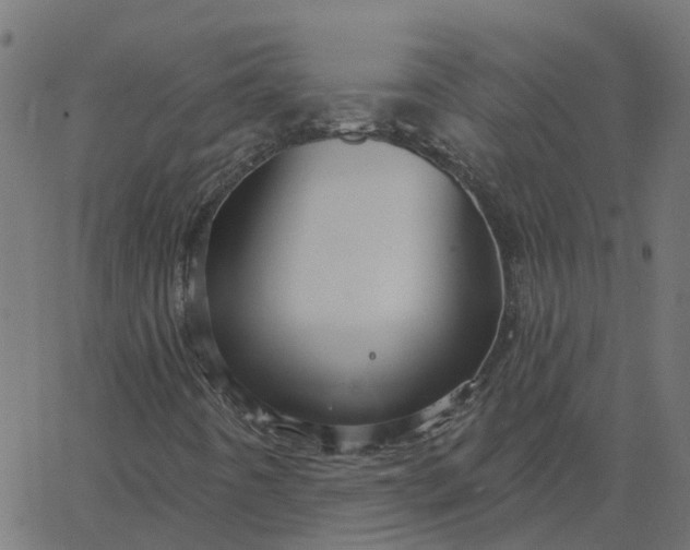 X0000067861442200604271658