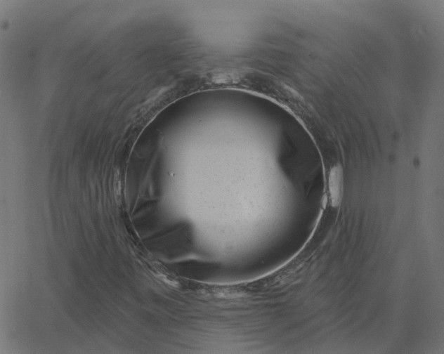 X0000067861443200604271658