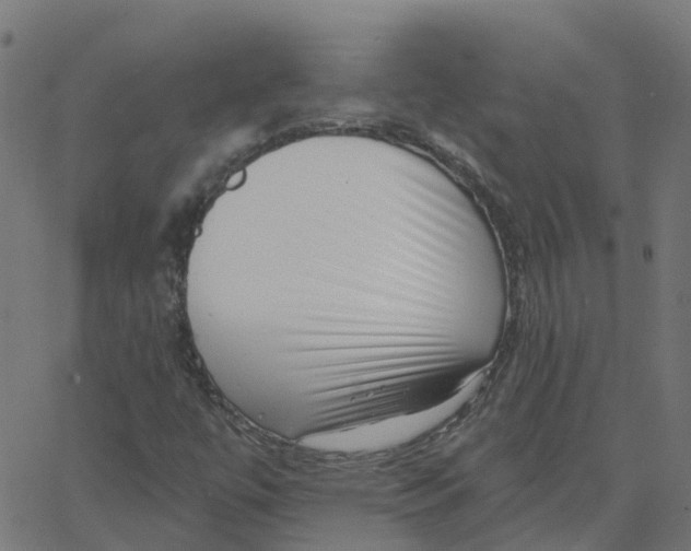 X0000067861447200604271658
