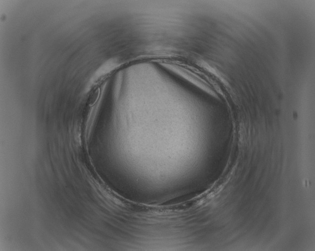 X0000067861451200604271658