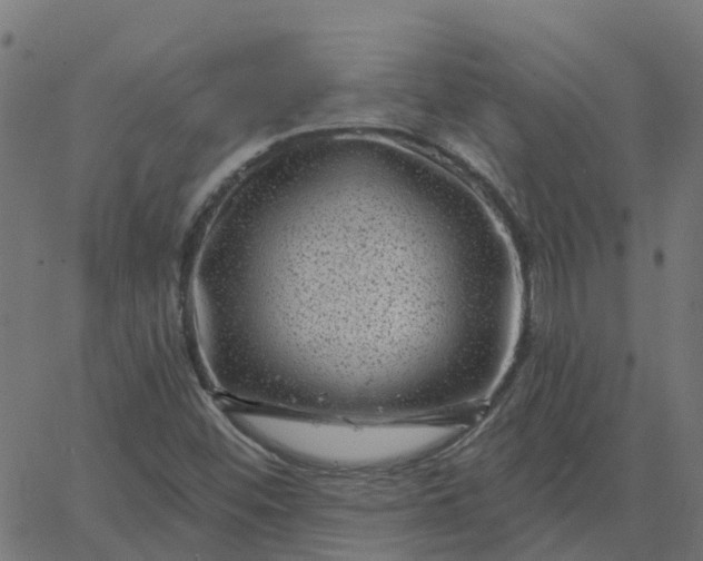 X0000067861452200604271658
