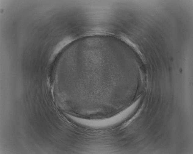 X0000067861453200604271658