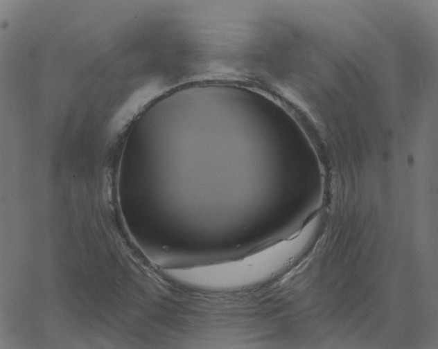 X0000067861455200604271658
