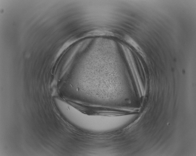 X0000067861465200604271658