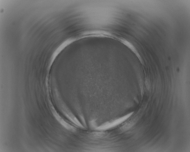 X0000067861482200604271658