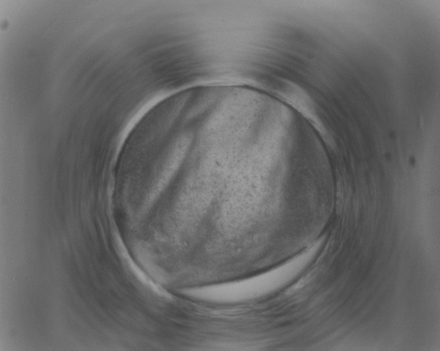 X0000067861484200604271658