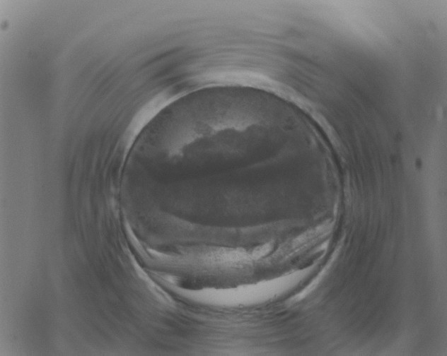 X0000067861529200604271657