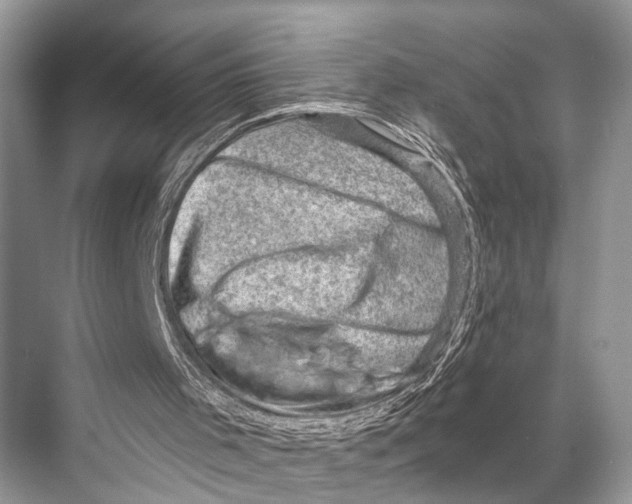 X0000067860001200605041753