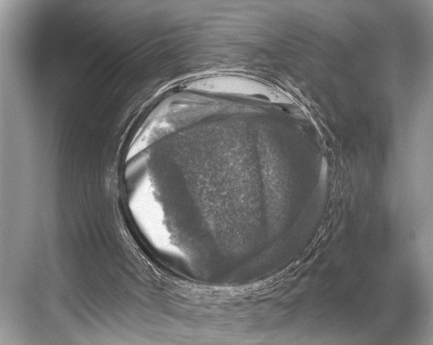 X0000067860002200605041753