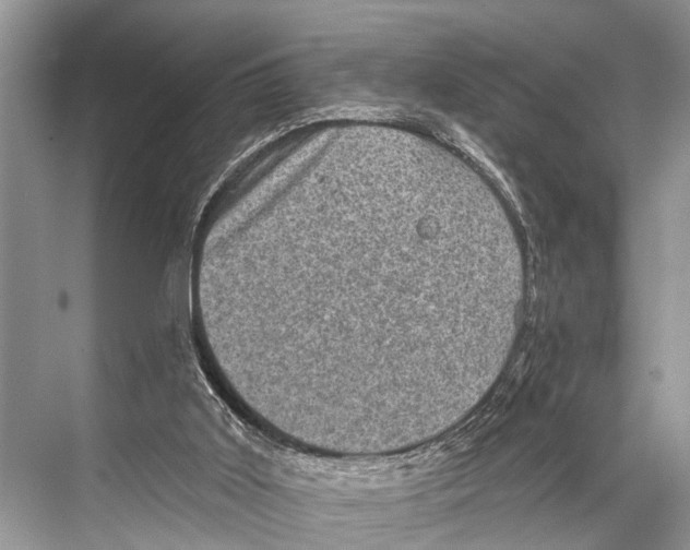 X0000067860011200605041753
