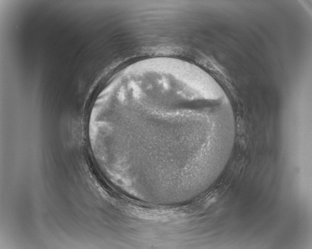 X0000067860012200605041753