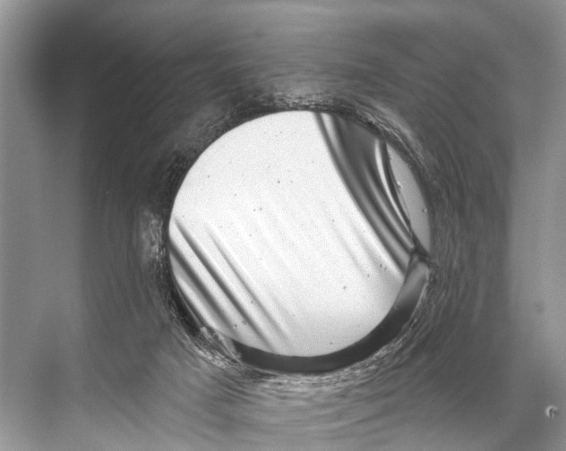 X0000067860025200605041753