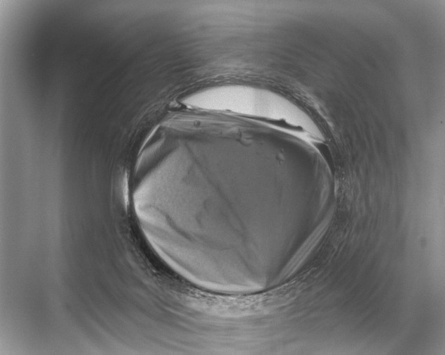 X0000067860027200605041753