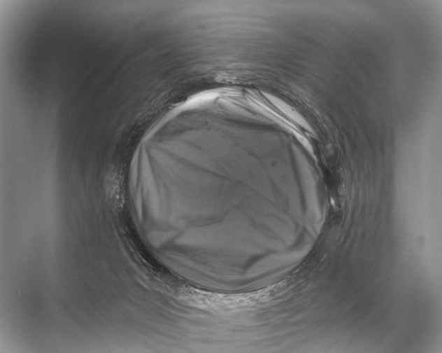 X0000067860031200605041753