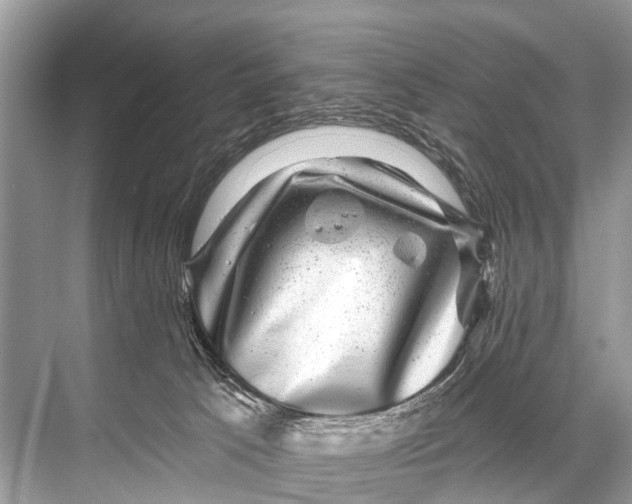 X0000067860033200605041753