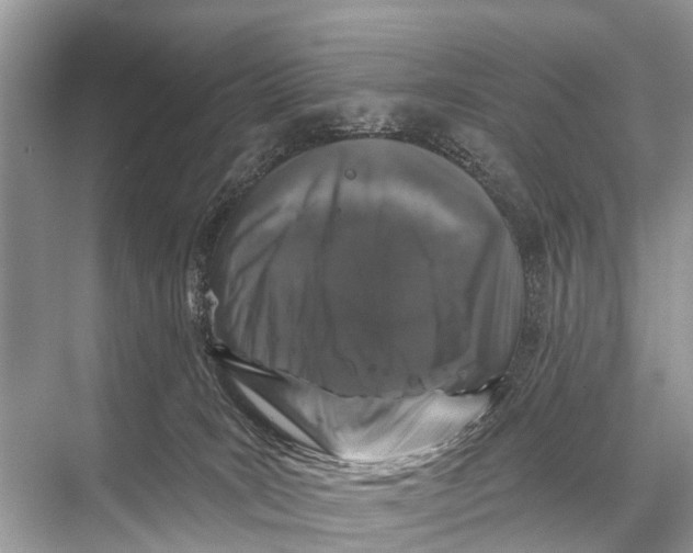 X0000067860035200605041753