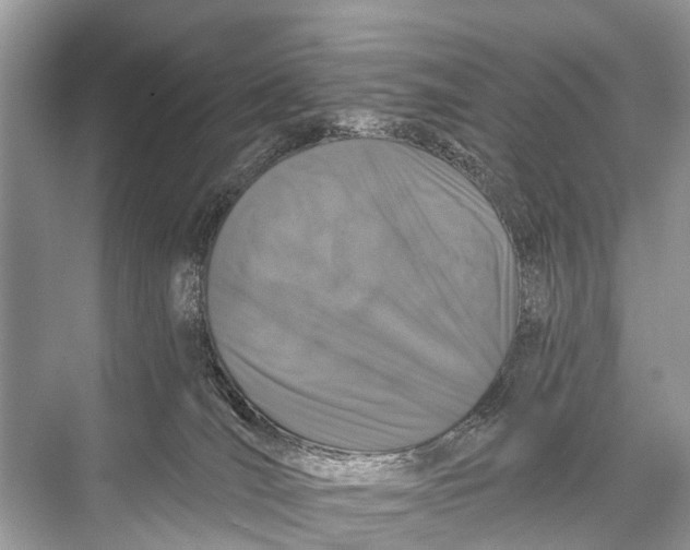 X0000067860036200605041753