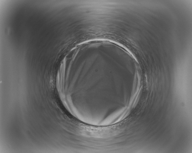 X0000067860039200605041753
