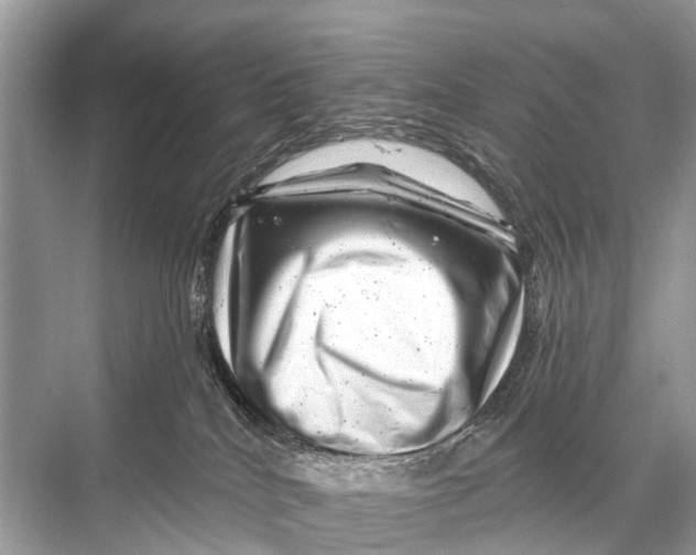 X0000067860040200605041752