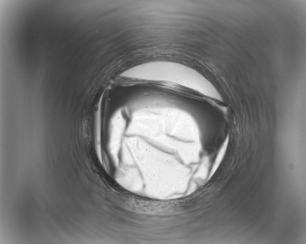 X0000067860044200605041752