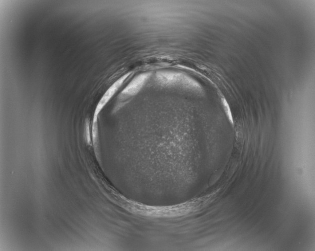 X0000067860046200605041752