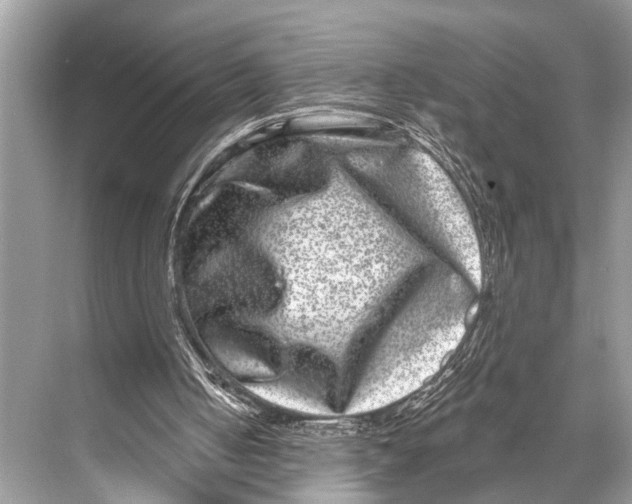 X0000067860050200605041752