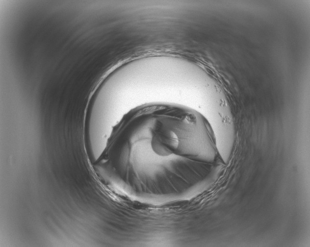 X0000067860052200605041752