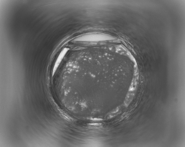 X0000067860053200605041752
