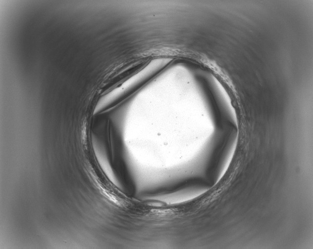 X0000067860057200605041752