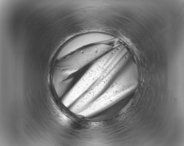 X0000067860060200605041752