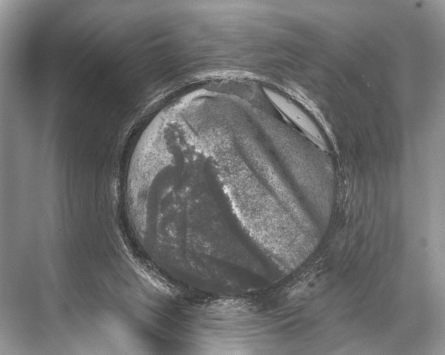 X0000067860063200605041752