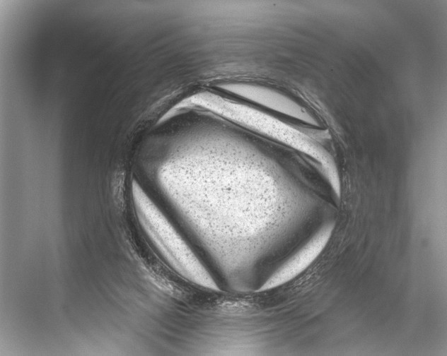 X0000067860066200605041752