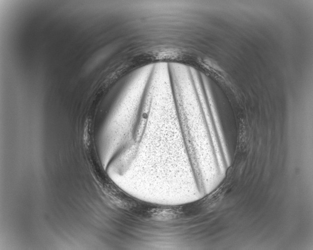 X0000067860074200605041752