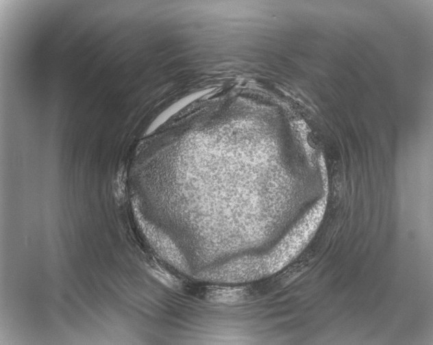 X0000067860081200605041752