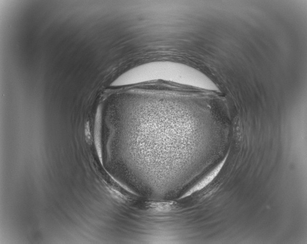 X0000067860089200605041752