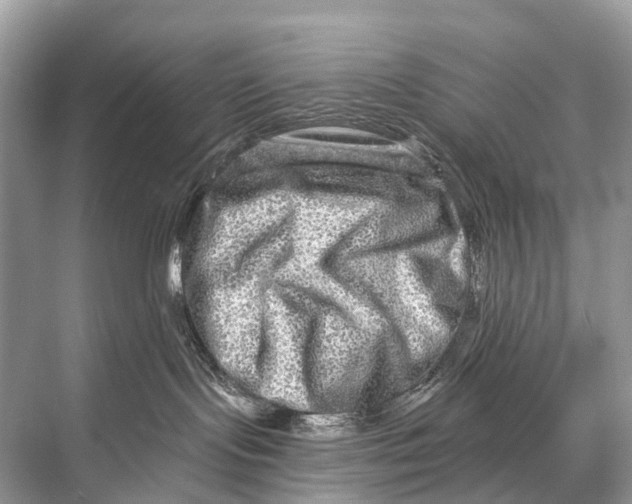 X0000067860095200605041752