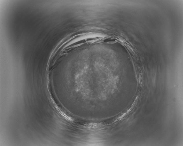 X0000067860101200605041751