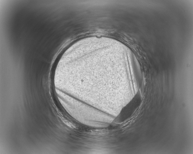 X0000067860102200605041751