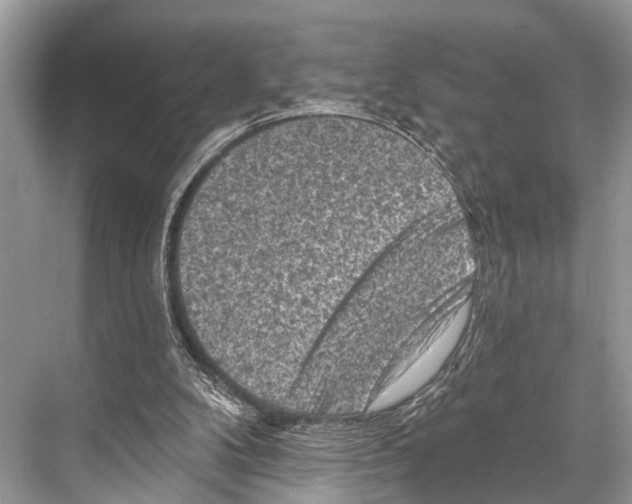 X0000067860104200605041751