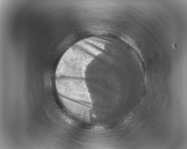 X0000067860114200605041751