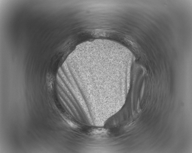 X0000067860125200605041751